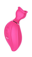 Load image into Gallery viewer, SHIBARI Beso, Power Suction Sex Toy, Pink
