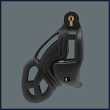 Load image into Gallery viewer, Male Chastity Lock CB Kit, Cock Cage Double Lock Design Chastity Lock Breathable,55,S
