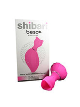 Load image into Gallery viewer, SHIBARI Beso, Power Suction Sex Toy, Pink
