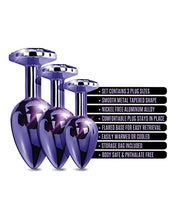 Load image into Gallery viewer, Nixie - Metal Plug Trainer Set - Purple Metallic
