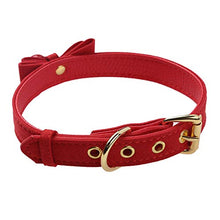 Load image into Gallery viewer, FEESHOW Fuax Leather Neck Choker Collar With Chain Detachable Leash For Men Women Red Choker One Size
