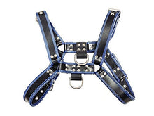 Load image into Gallery viewer, Rouge Garments O.T Harness with 2 D Rings, Black/Blue, S
