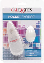 Load image into Gallery viewer, Pocket Exotics Ivory Egg
