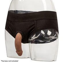 Load image into Gallery viewer, CalExotics SE-1581-30-3 Packer Gear 5&quot;/12.75 cm Silicone Packing Penis - Brown
