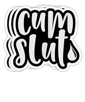 Adult Humor Naughty Sex Kink Swinger BDSM Dom Sub Cum Slut Gift Decorations - 4x3 Vinyl Stickers, Laptop Decal, Water Bottle Sticker (Set of 3)