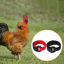 Load image into Gallery viewer, LoveAloe 2Pcs Noise Free Rooster Collar Anti-Hook No Crow Noise Neck Belt for Roosters Prevent Chickens from Screaming,Style 4
