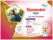 Load image into Gallery viewer, Dhootpapeshwar Shilapravang Special (30 Tablets)
