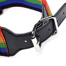 Load image into Gallery viewer, New Extreme Obedience Kinky Pride Rainbow Bondage Set - Wrist/Ankle Cuffs &amp; Collar with Leash - Perfect for All Skill Levels
